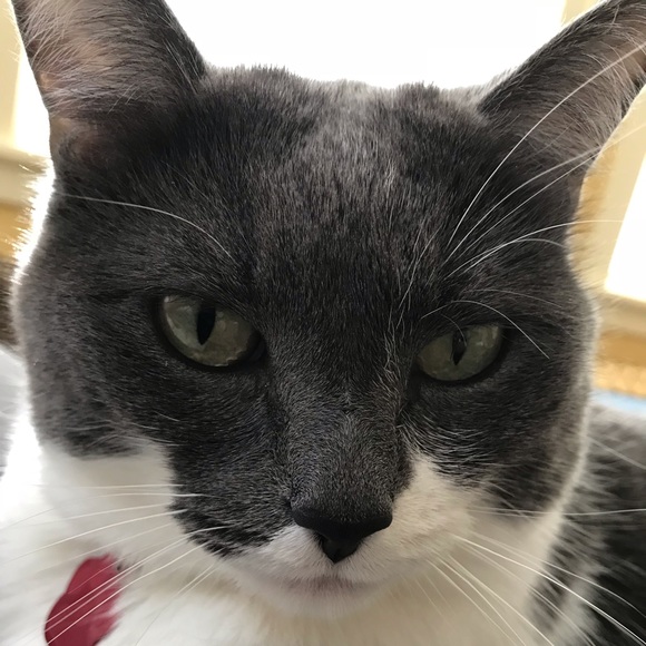 Meet your Posher, Kristyn - Picture 1 of 1